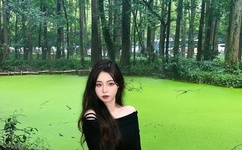 外交官秦纲被策反了吗